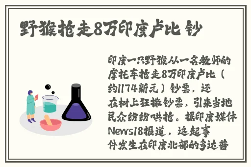 迈开腿让尝尝你的森林视频APP