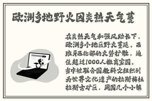 md传媒app入口免费下载